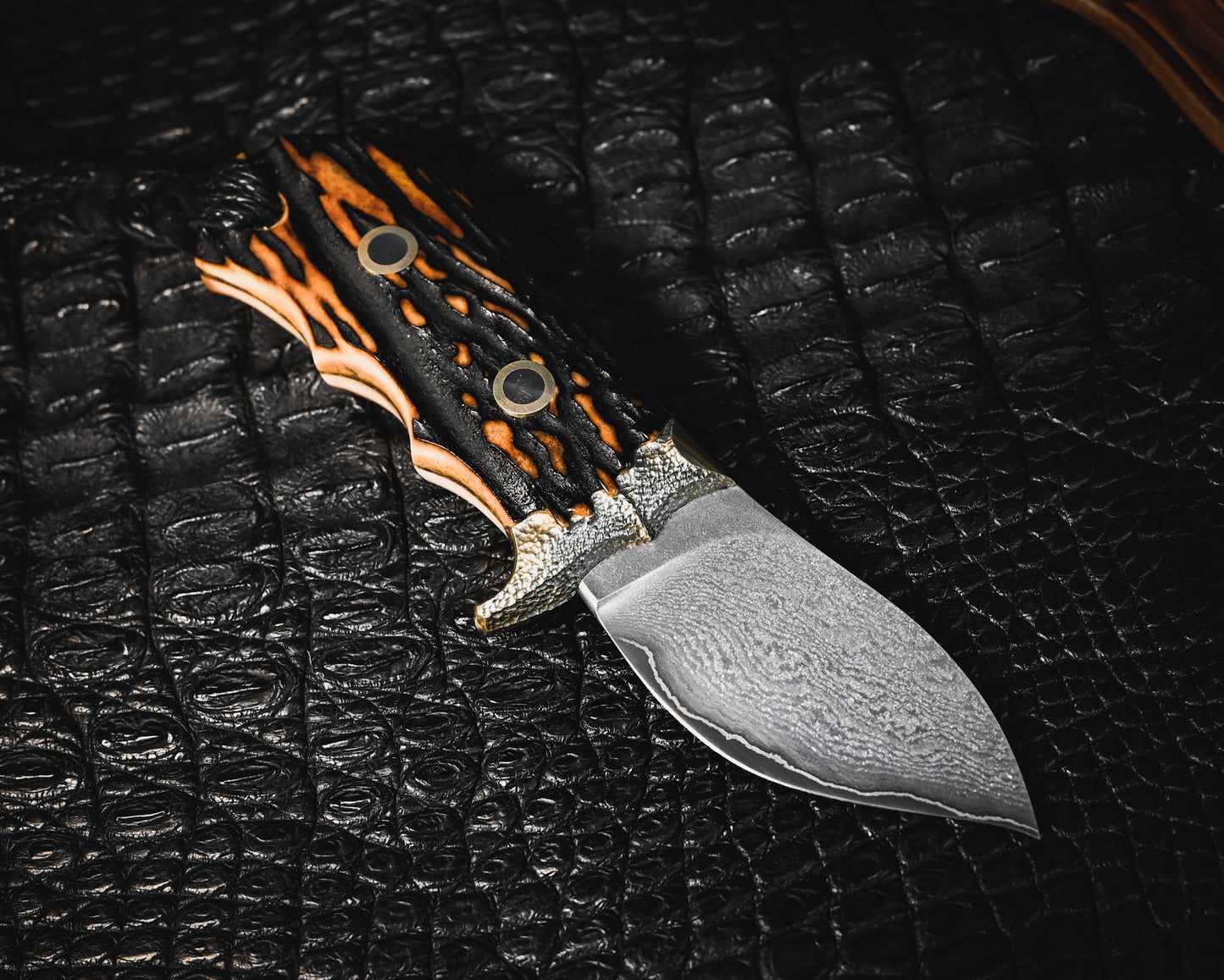 New CityClub Ver.Wang - 福田正孝 × Wtopia Works コラボナイフ(2025年3月神戸刀展受賞作品)