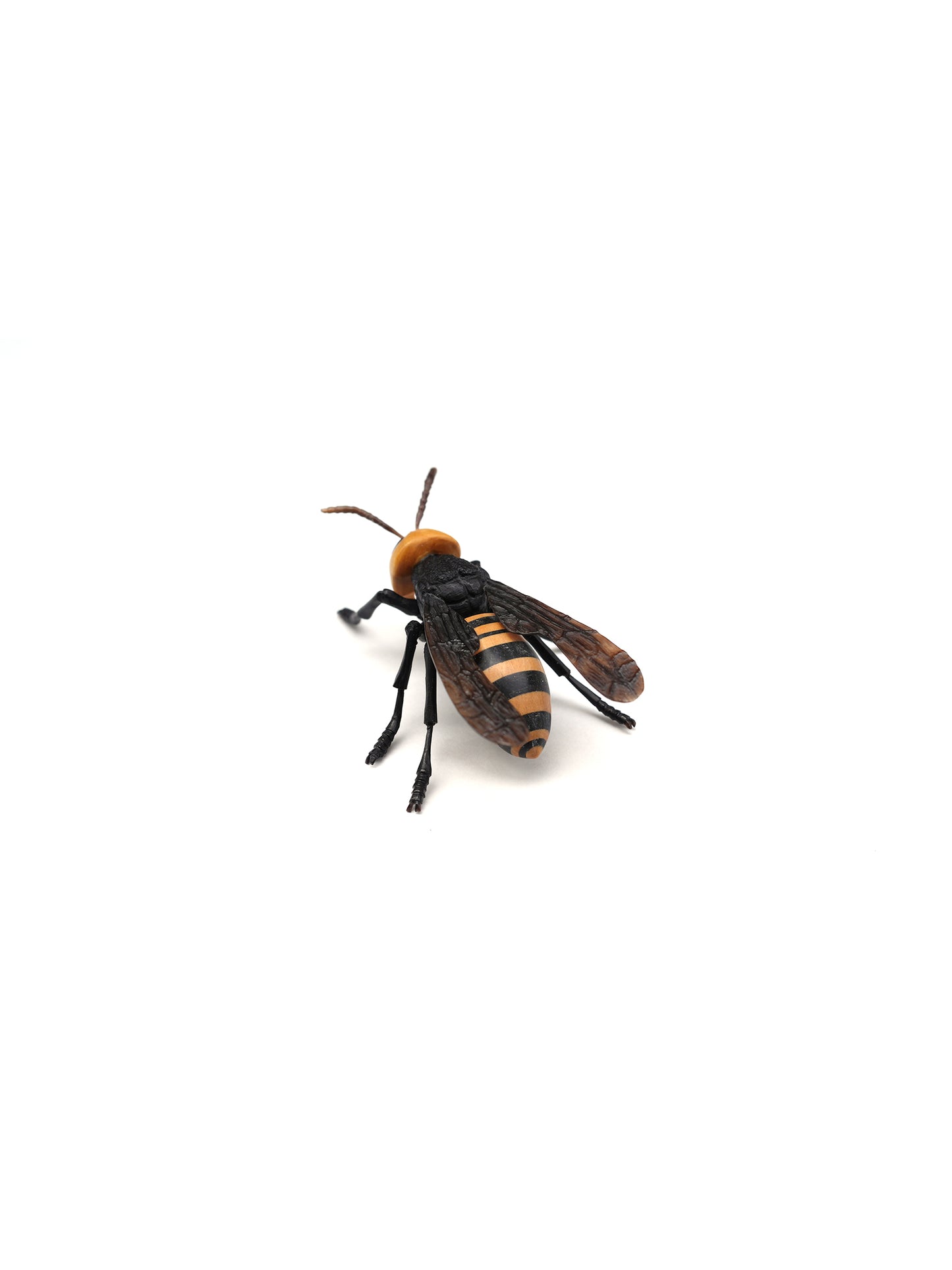 Hidetoshi Nakayama's sculpture: hornet