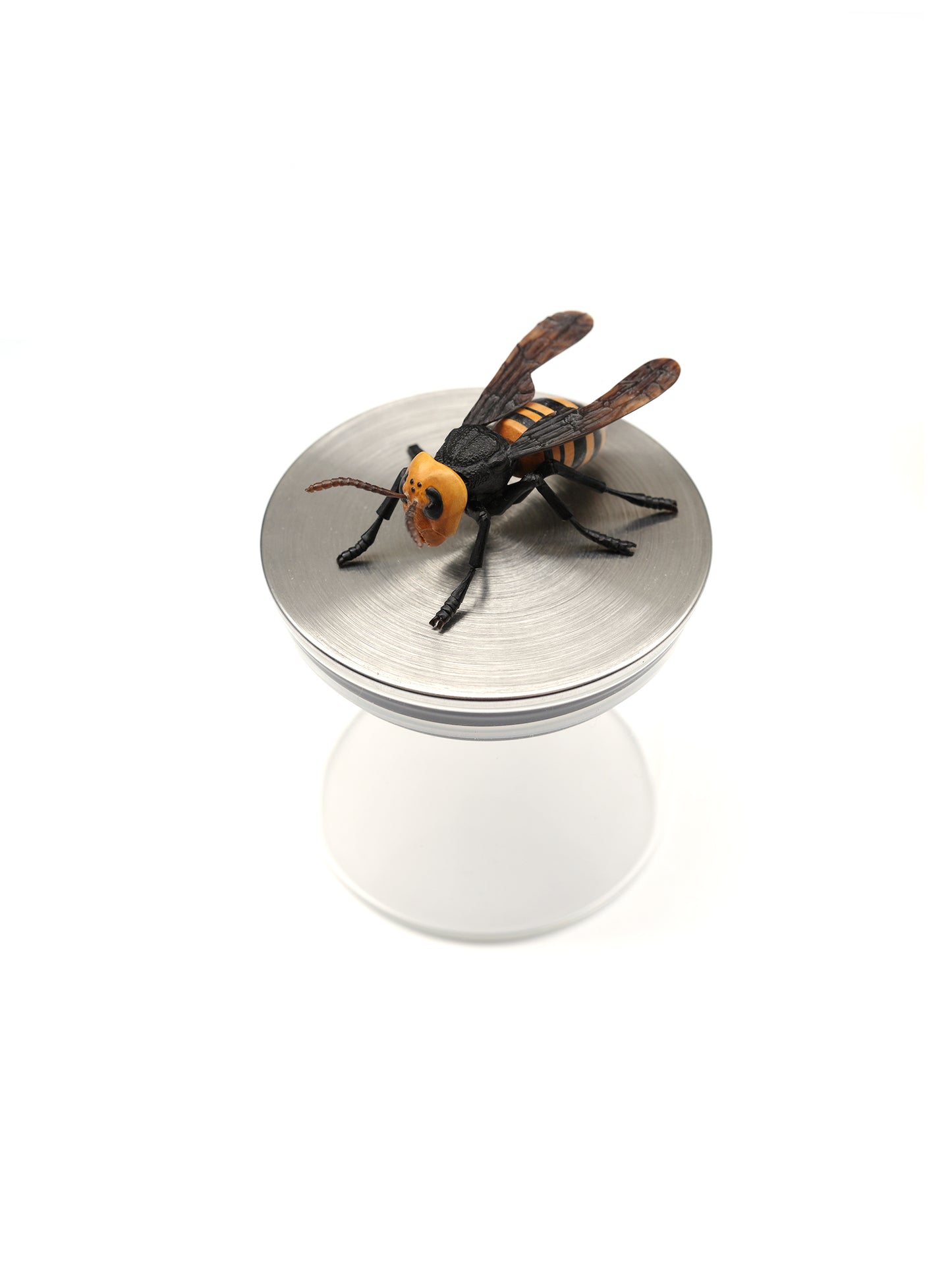 Hidetoshi Nakayama's sculpture: hornet