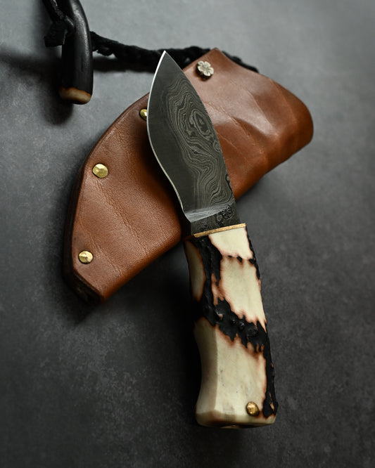 Wtopia Petty Camp – Handmade Japanese Damascus Knife with Antler Handle & Leather Sheath