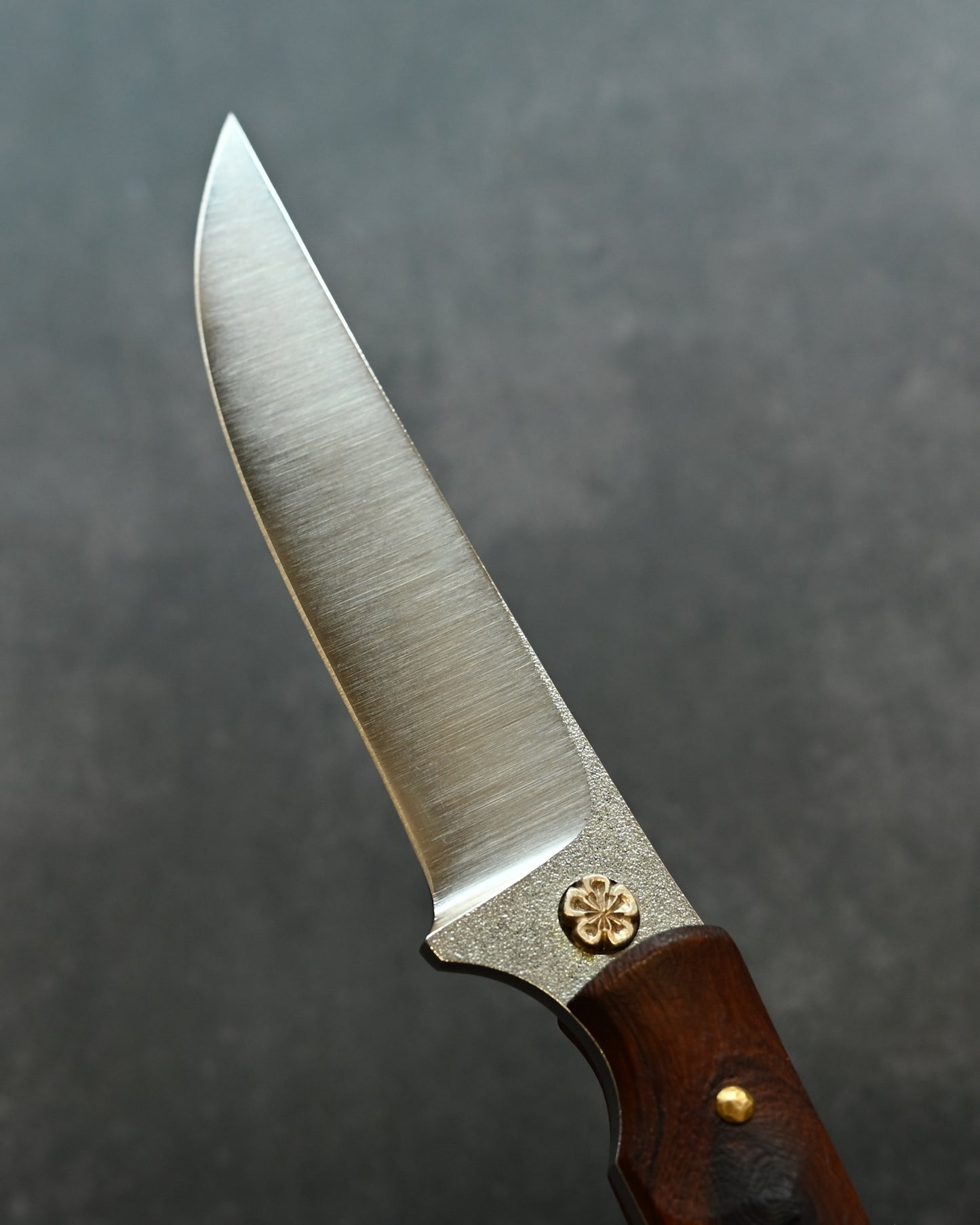 Wtopia BBQ Outdoor Knife | Seki Knife Show Exclusive Edition | Handmade in Japan