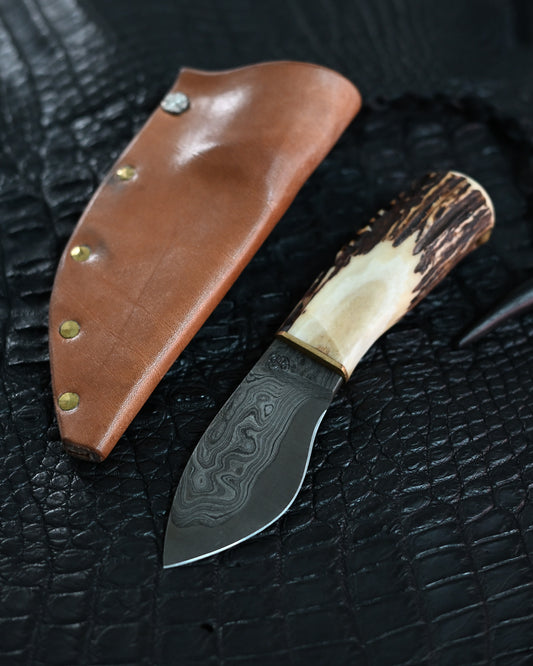 Wtopia Petty Camp – Handmade Japanese Damascus Knife with Antler Handle & Leather Sheath