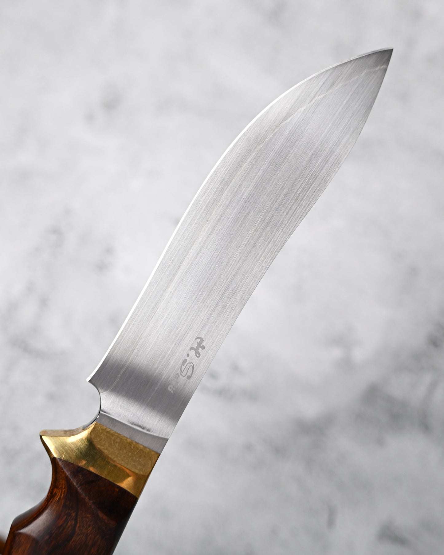 Japan Made Hiroshi Saito Handmade VG10 Outdoor Knife｜Desert Ironwood Handle｜Vegetable-Tanned Leather Sheath