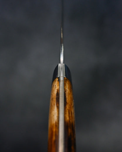 Takeshi Saji  – Traditional Japanese Kitchen Knife VG10 Damascus Gyuto 240mm – Brown Bone Handle 