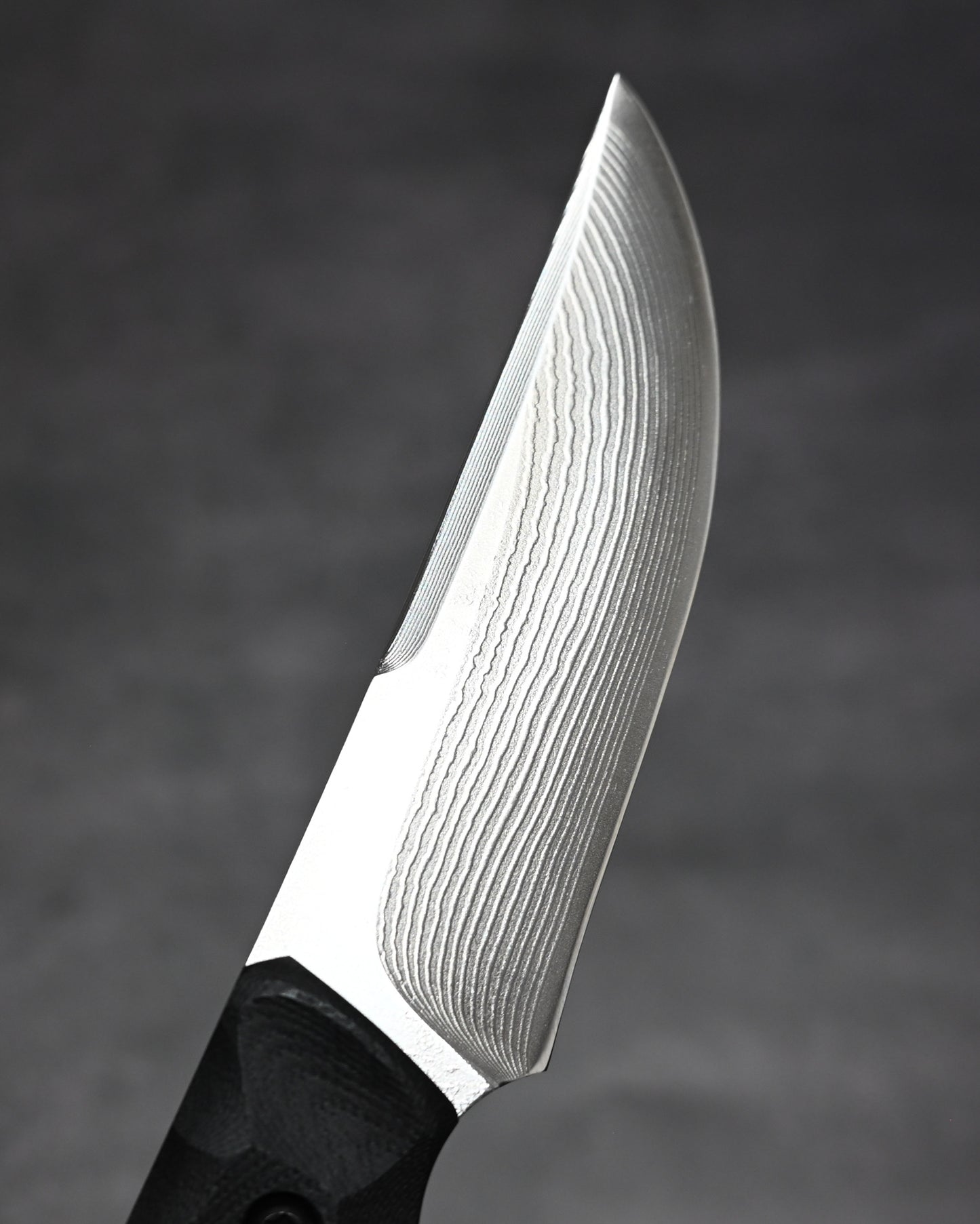 Kikuknives Kiku Matsuda Custom Knife “Azami” Outdoor Knife – SPG-2 Steel