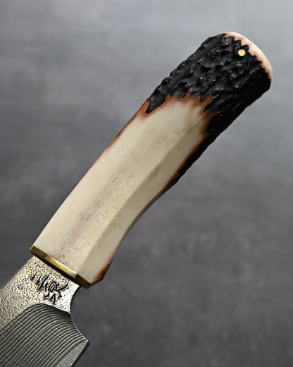 Sunizumi Knives “Little Brown” Full Custom Outdoor Bunka Knife Ginsan Damascus (#5)