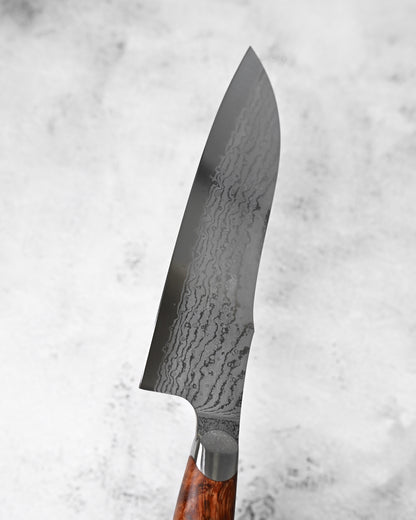 Japan Made Hiroshi Saito Handmade SG2 Damascus Chef Knife｜Karin Wood Handle｜Hand-Polished Blade