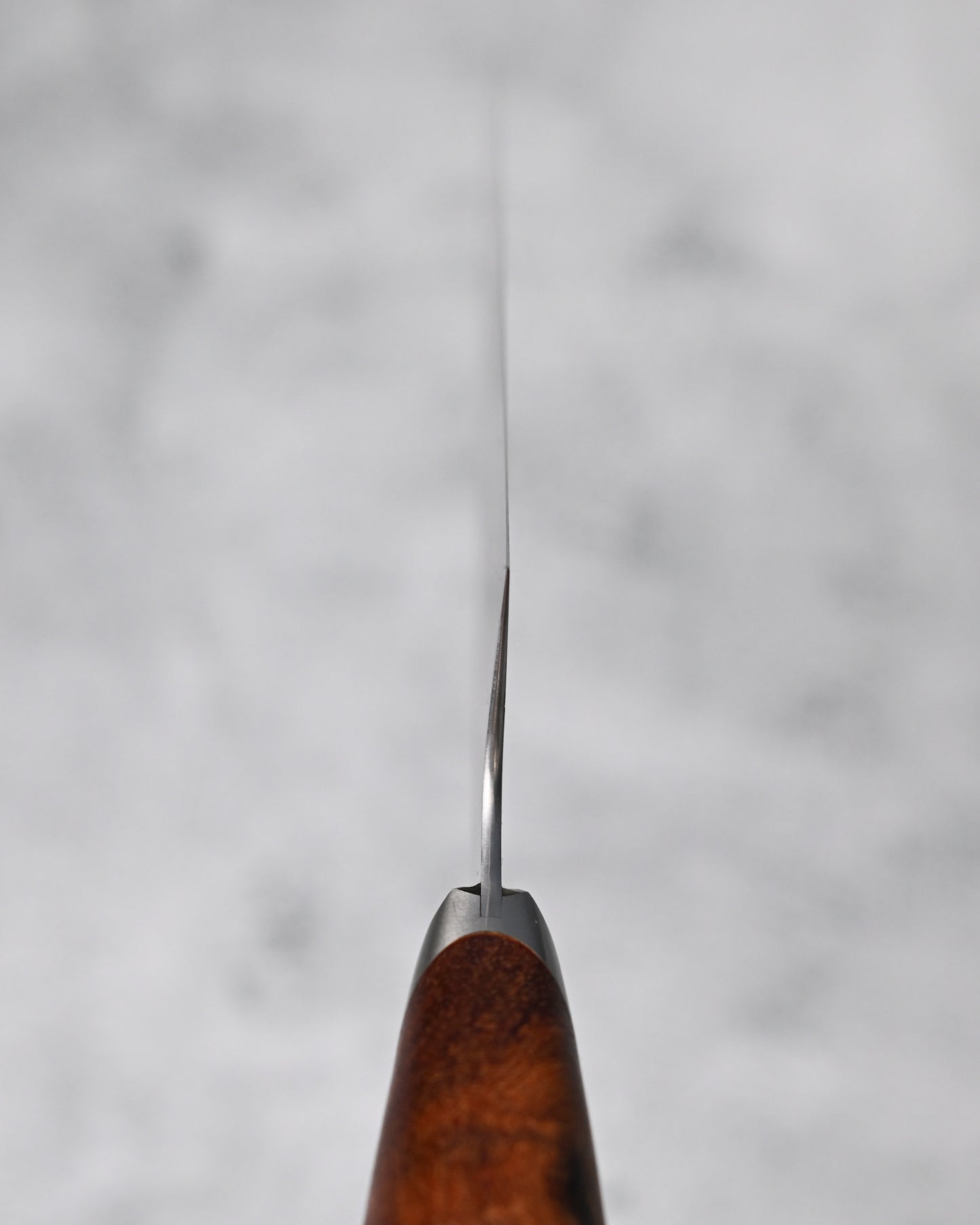 Japan Made Hiroshi Saito Handmade SG2 Chef Knife｜Karin Wood Handle｜Hand-Brushed Blade