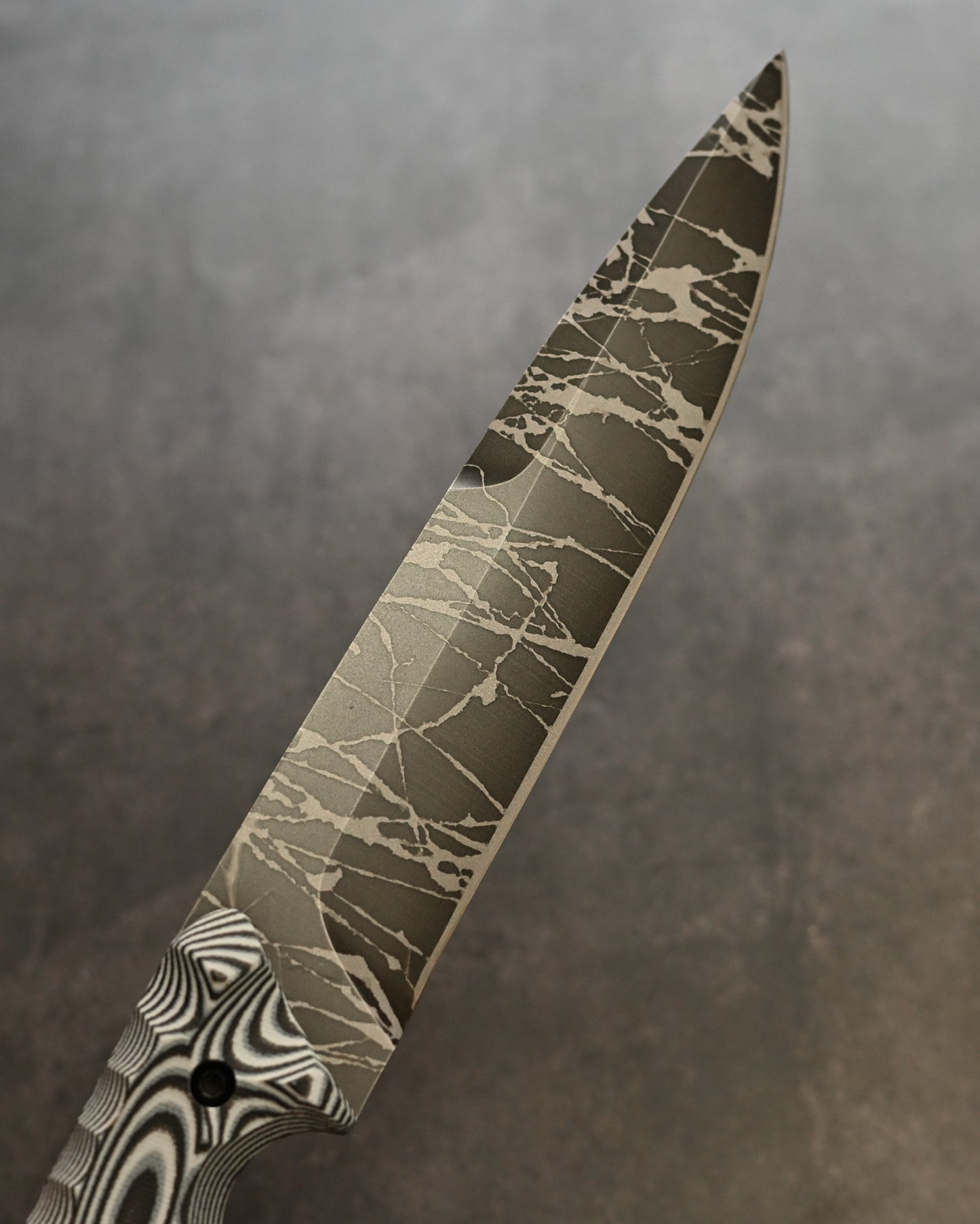 Kobe Exhibition Limited Extremely Rare Kiku Knives Kikuo Matsuda Masayuki Matsuda Shachi OU31 Steel Extra Thick Blade