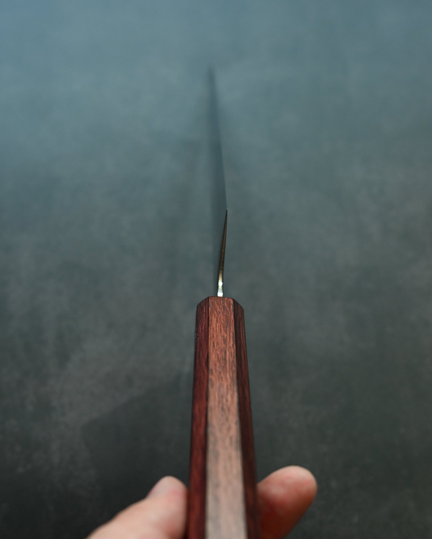 Kanetaka Limited Gyuto 240mm – VG10 Damascus-Clad Steel / Mirror Polish / Artisan Sharpened
