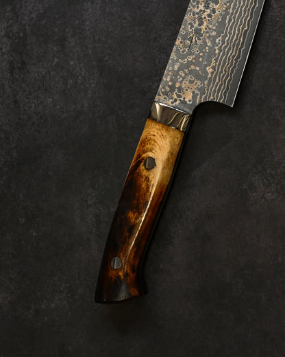 Takeshi Saji  – Traditional Japanese Kitchen Knife VG10 Damascus Gyuto 240mm – Brown Bone Handle 