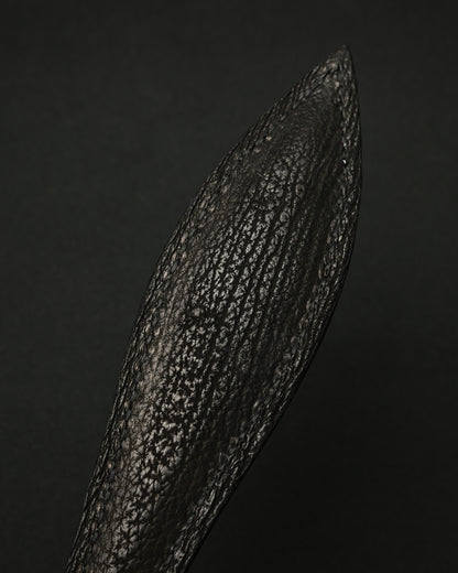 Rare Sunizumi Shoten × Wtopia Black Crocodile Leather EDC Paddle – 295mm / Bronze & Silver Inlay / Made in Japan