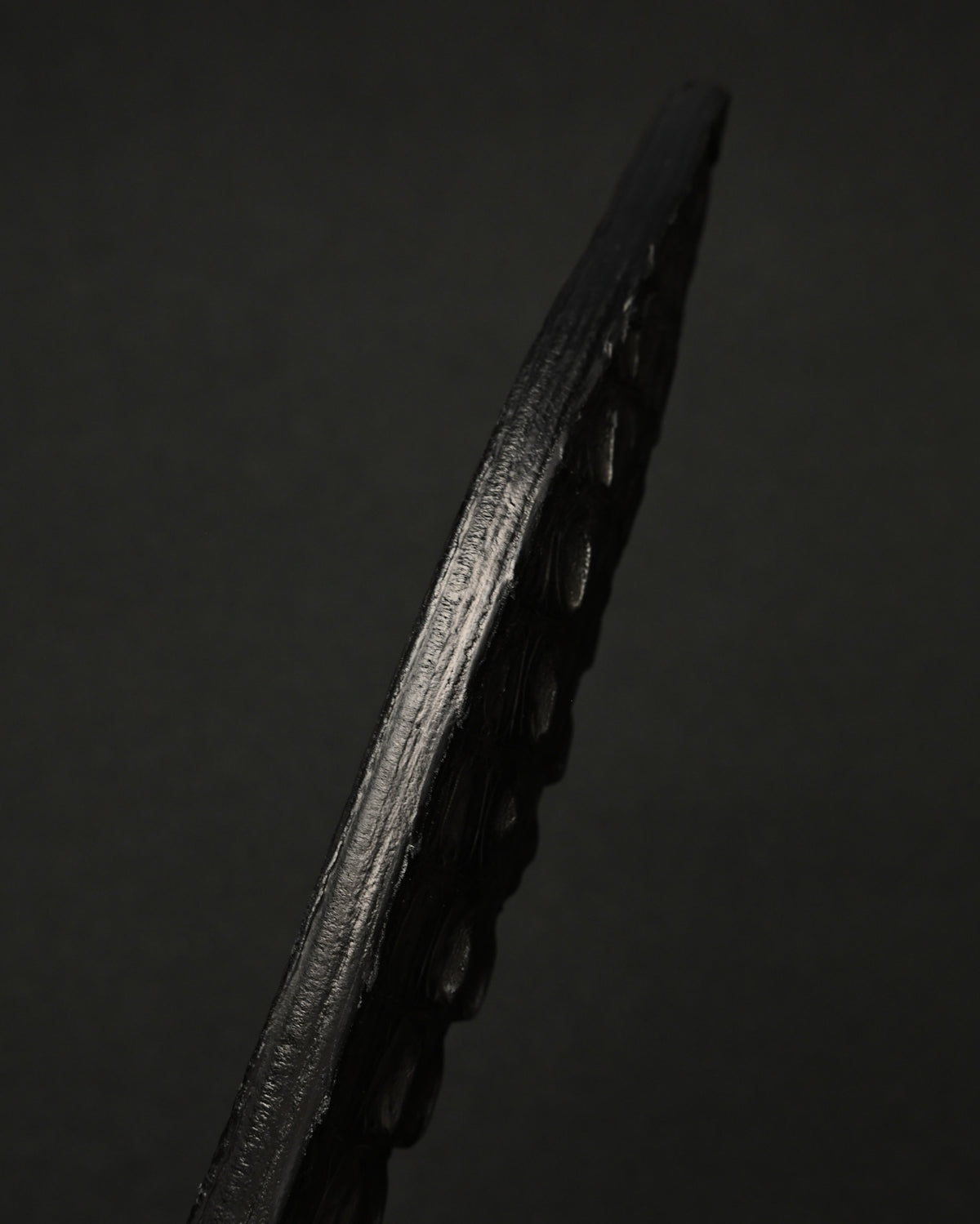 Rare Sunizumi Shoten × Wtopia Black Crocodile Leather EDC Paddle – 295mm / Bronze & Silver Inlay / Made in Japan